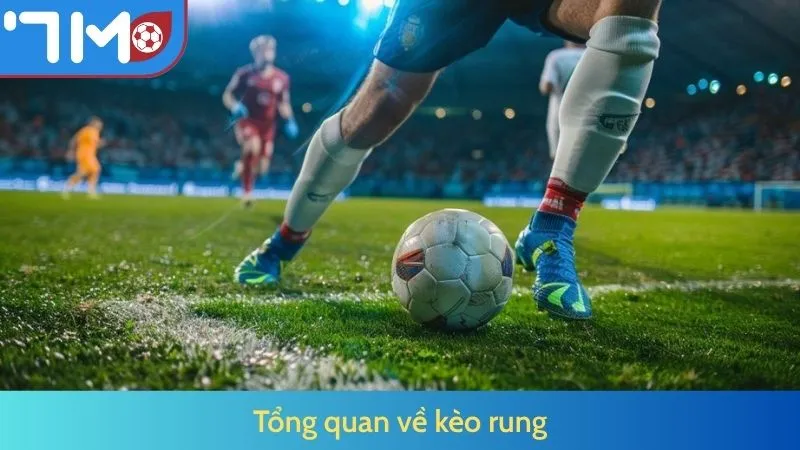Tổng quan về kèo rung